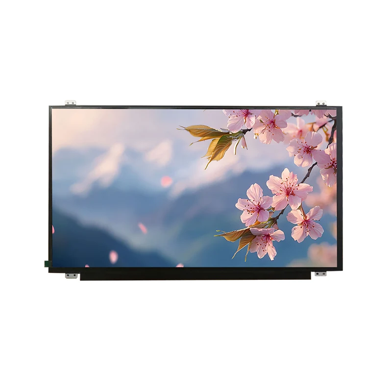15.6 'HD Wide Temp IPS TFT LCD -Bildschirmmodul