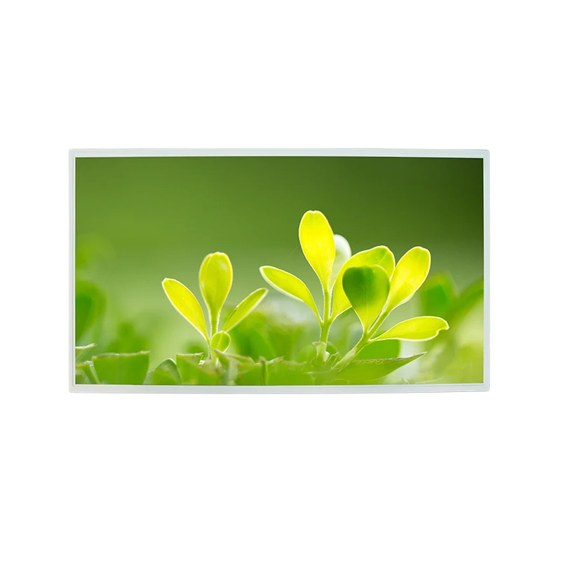 21,5 'hohe Helligkeit FHD IPS Color TFT LCD -Anzeigemodul