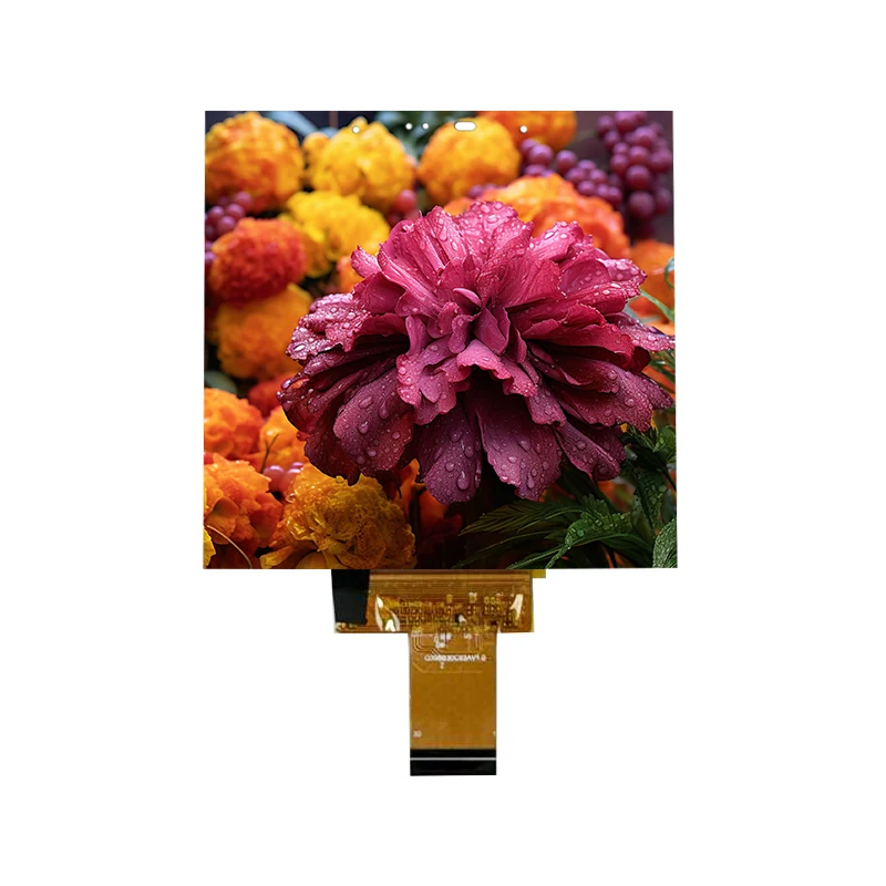 3,95-Zoll-Low-Power-500-Nit-IPS-Thin-In-Cell-Touchscreen-Modul 3,95-Zoll-Low-Power-500-Nit-IPS-Thin-In-Cell-Touchscreen-Modul