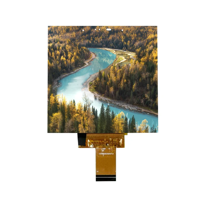 3,95 Zoll kleines, blendfreies IPS-In-Cell-Touchscreen-Modul 3,95 Zoll kleines, blendfreies IPS-In-Cell-Touchscreen-Modul