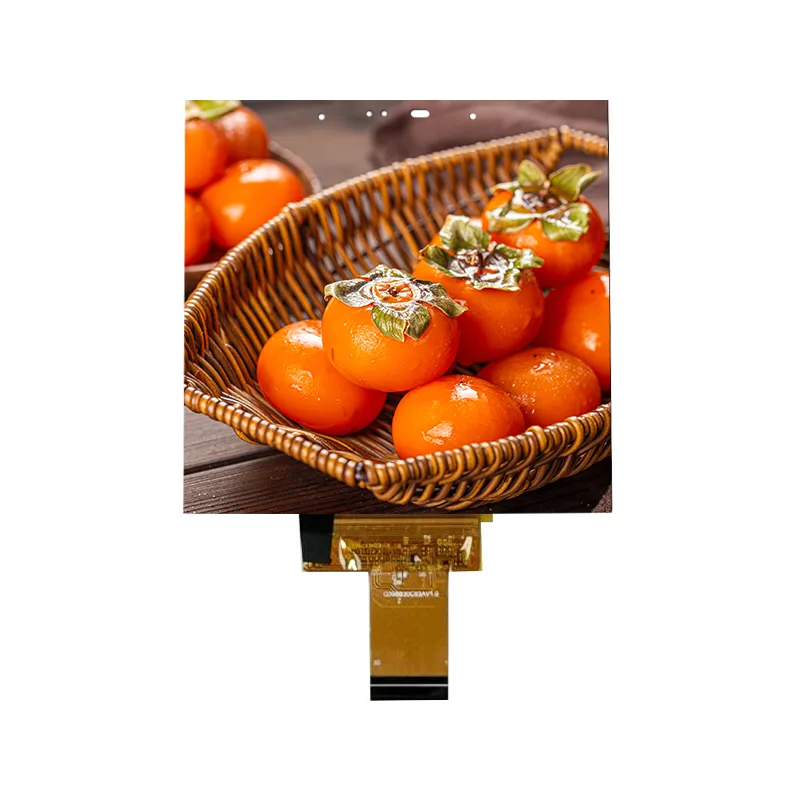 3,95 Zoll kleines IPS-In-Cell-Touchscreen-Modul für Smart Home