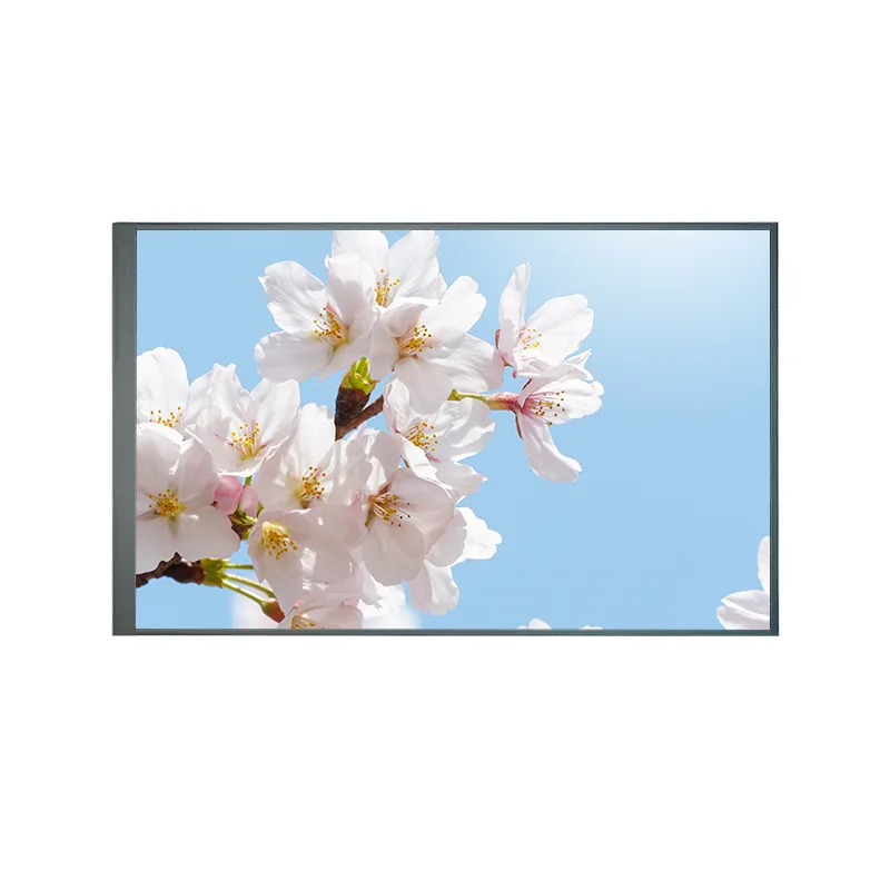 8,0 Zoll Normalerweise Rücken TFT IPS TFT LCD -Bildschirmmodul