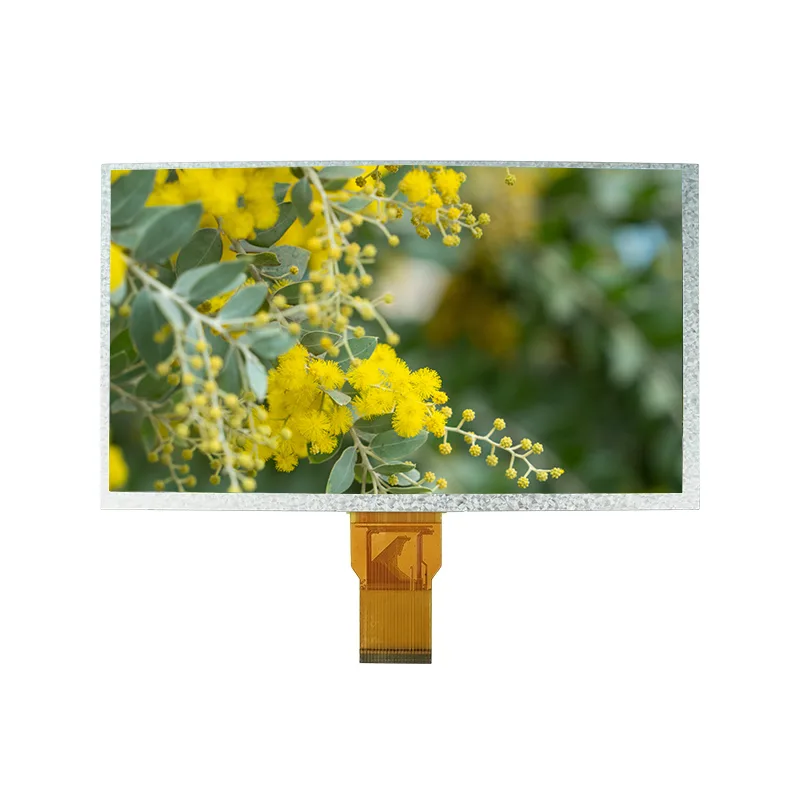 9,0 Zoll normales weißes TFT IPS TFT LCD -Bildschirmmodul